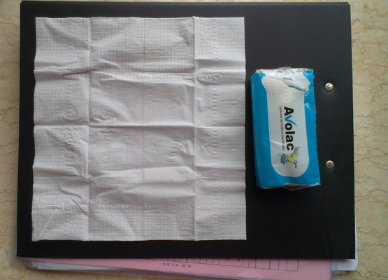China Advertising Logo Printed Pocket Tissue Handkerchief for Travel / Office supplier
