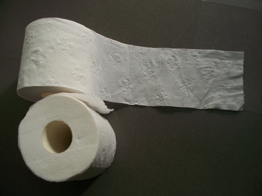 China Virgin Wooden Pulp Bathroom Toilet 2 Ply Tissue Paper 14gsm 100g supplier