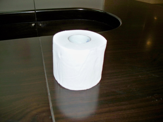 China Restroom 2 Ply Tissue Sanitary Paper , Unbleached 2 Ply toilet paper supplier