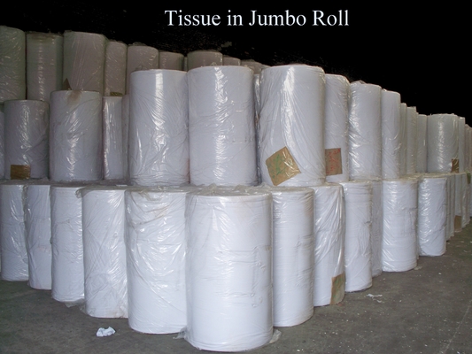 China 15gsm 1 ply / 2 ply Demand Cutting Tissue of Virgin / Recycle / Mix pulp supplier