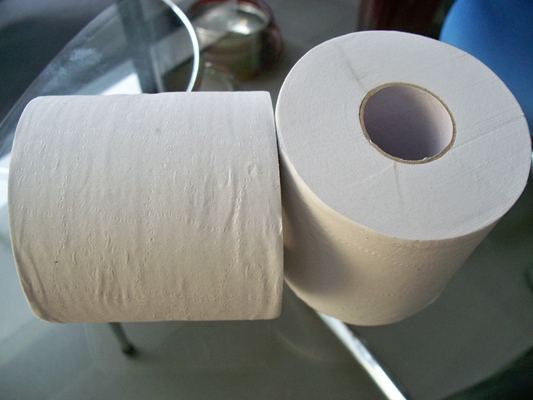 China Embossed Recycle White Toilet Tissue Paper Roll , 2ply 16gsm 10 rolls per bag supplier